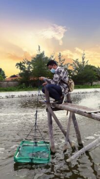 Manajemen Pakan Tepat, Biaya Produksi Turun Manajemen Pakan Tepat, Biaya Produksi Turun
