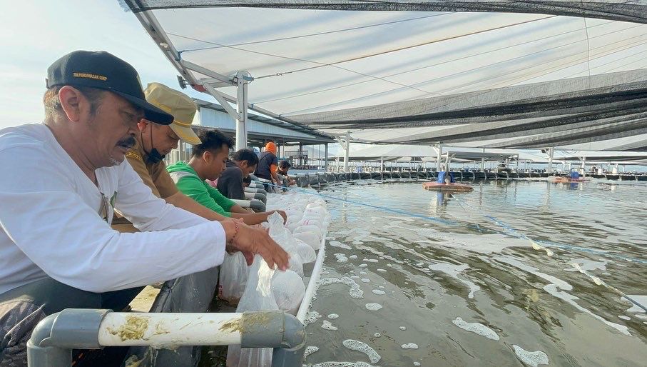 Teropong Peluang Bertambak di Balik Kabut Isu Resesi