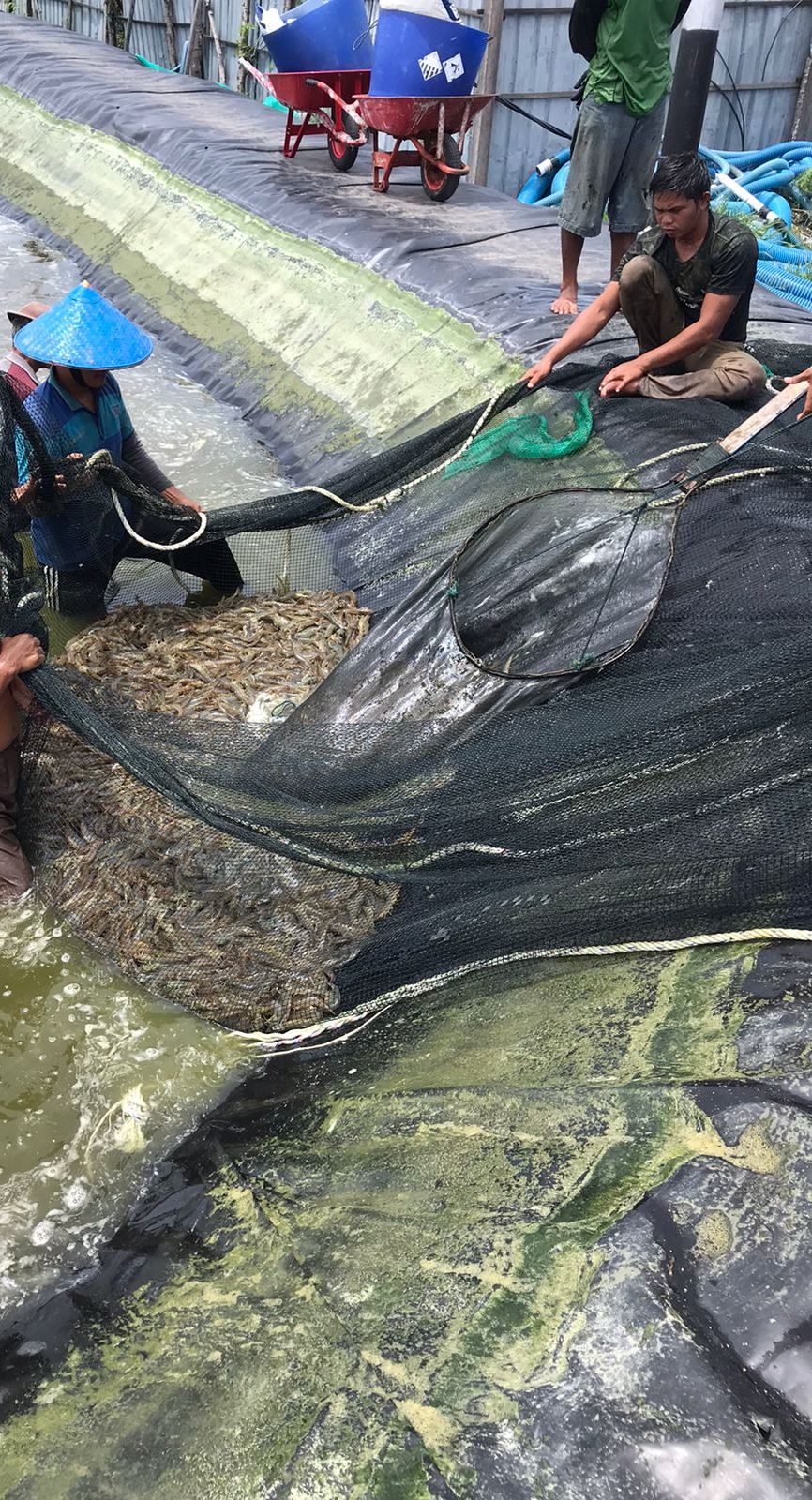 Kokohkan Eksistensi di Pasar Global