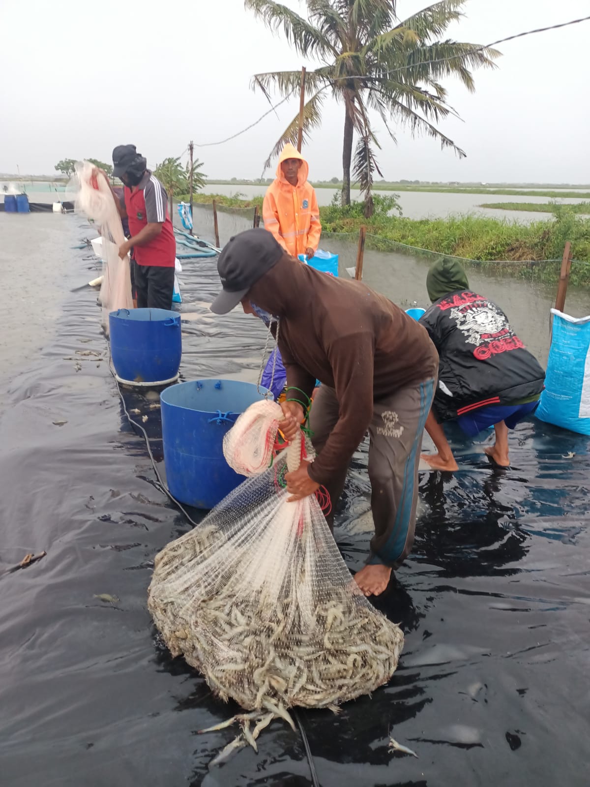 Pentingnya Update Pengetahuan Teknologi Pakan