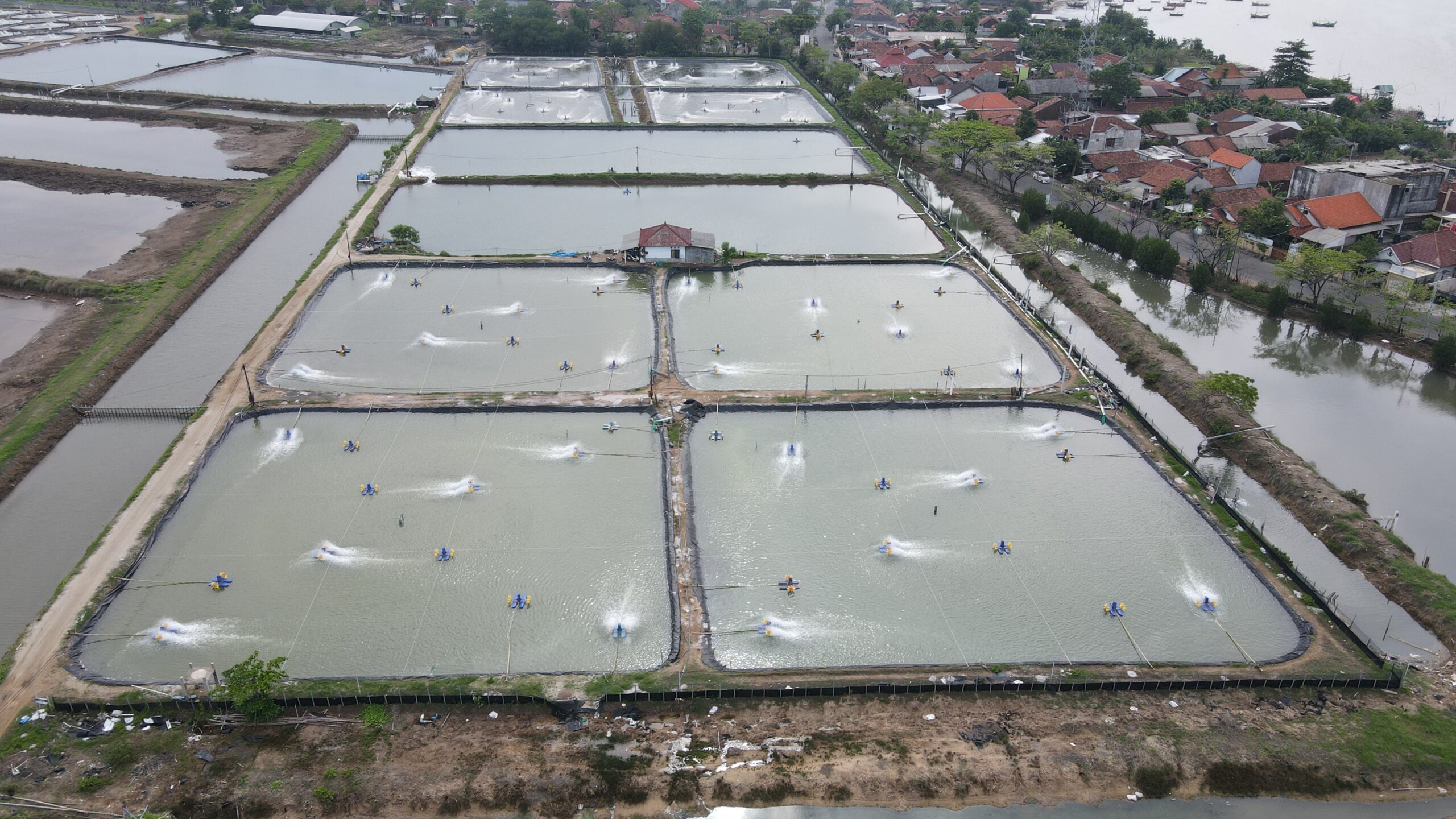 Optimalisasi UV melalui Pre-Filter untuk Hadapi Patogen di Tambak Udang