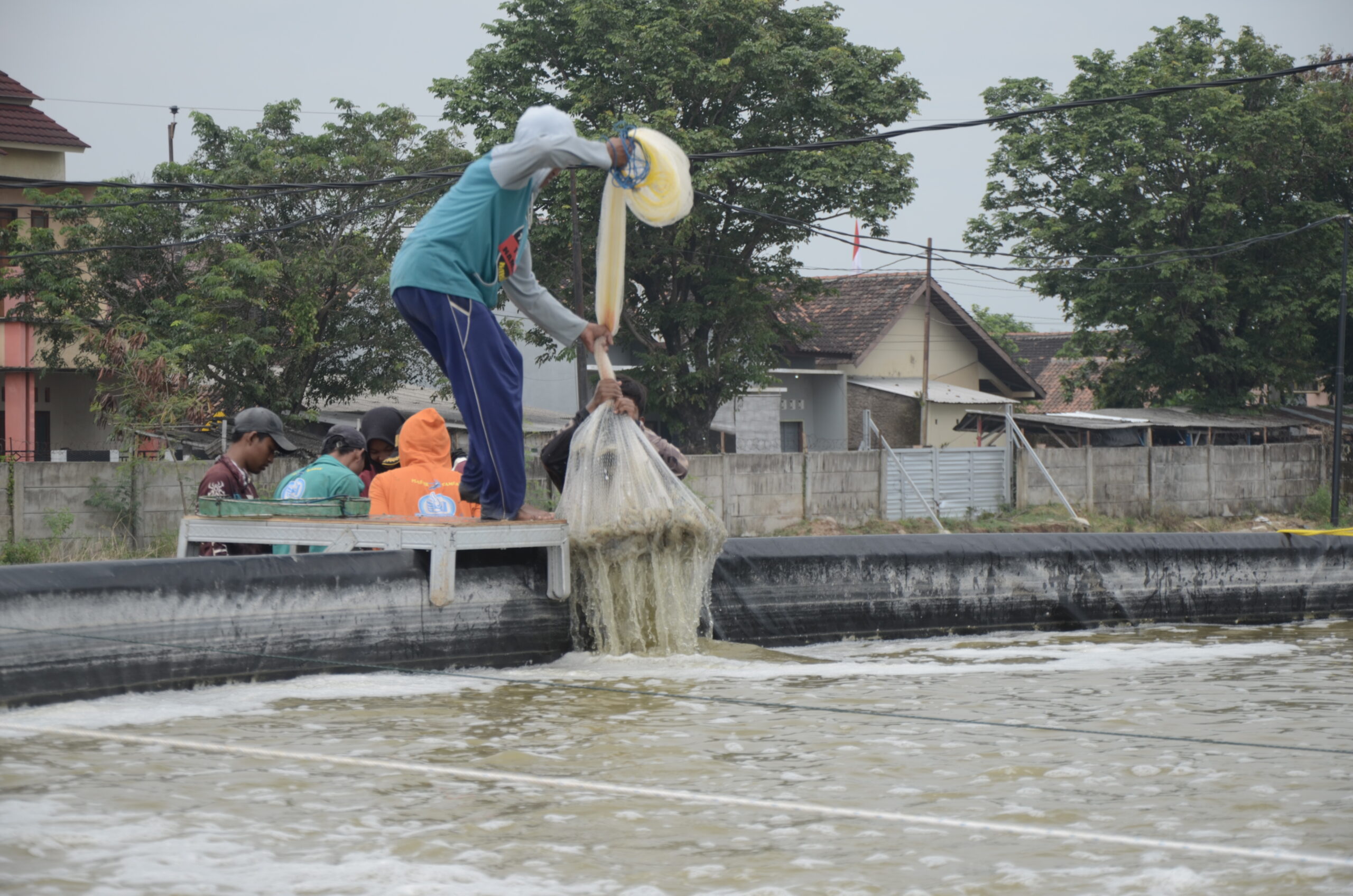 Menyorot Pentingnya Biosekuriti dan Biodiversiti  pada Budidaya Udang