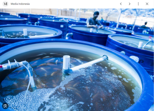 Meningkatkan Produksi Ikan, Tips Efektif untuk Akuakultur Sukses