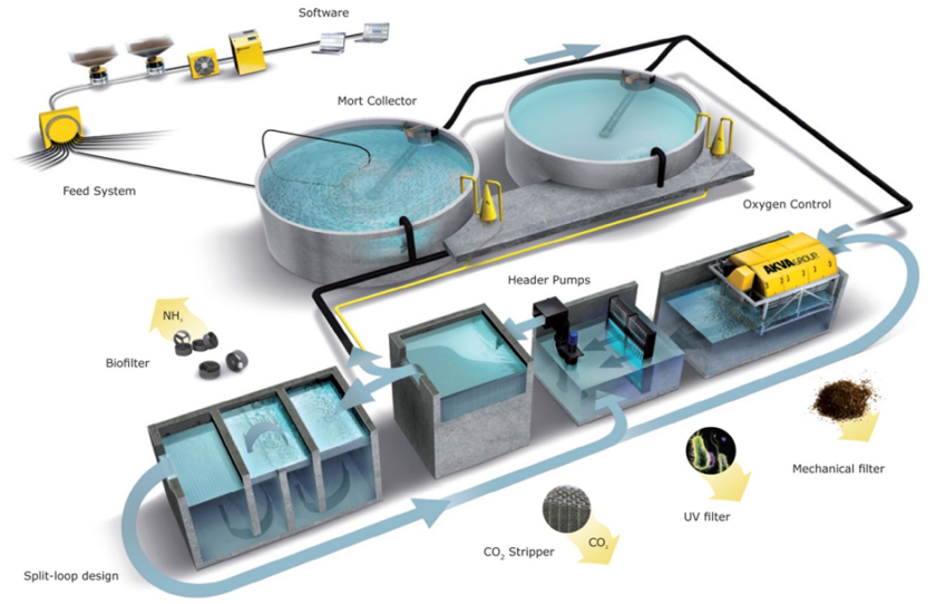 Keuntungan Penerapan Sistem Konservasi Energi dalam Aquakultur (mai.or,id)