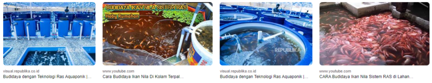 Budidaya Ikan dengan Sistem RAS