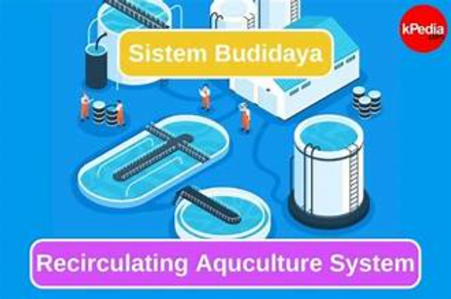 Budidaya Ikan dengan Sistem RAS (kontenpedia.com)