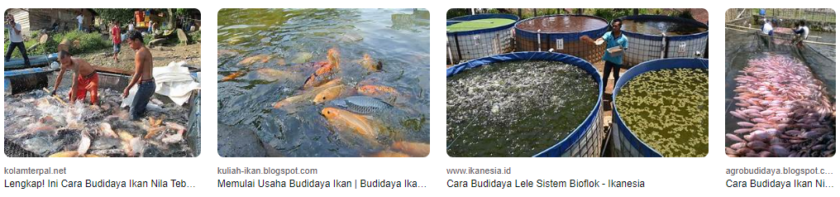 Menangkal Hama dan Penyakit Ikan