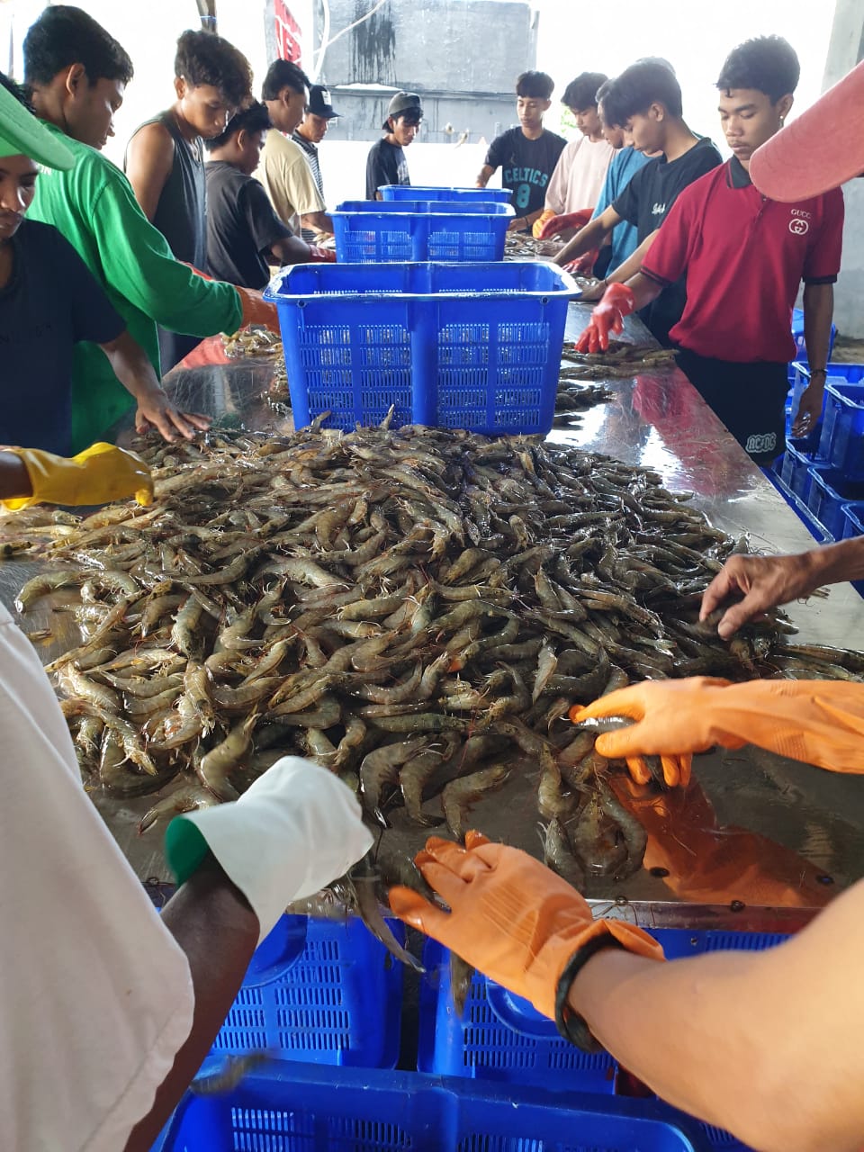Menimbang Asa dari Program Makan Bergizi Gratis