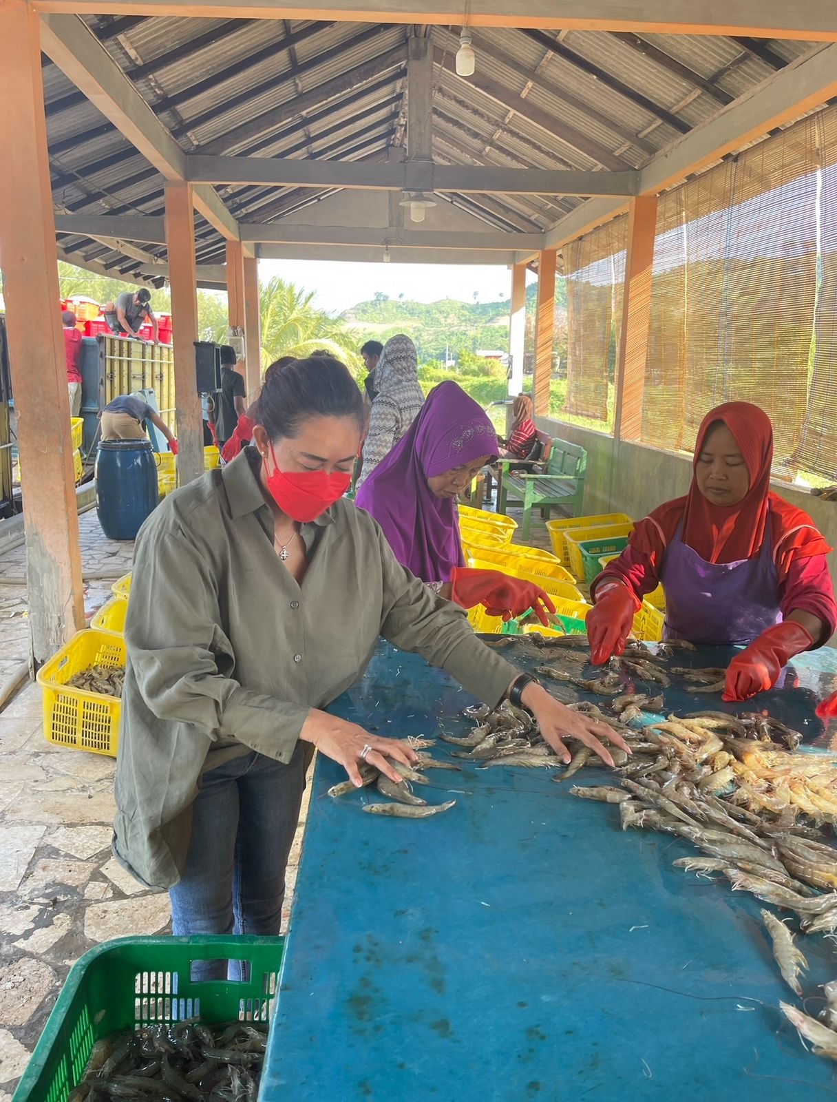 Mengelola Kesehatan Udang di Tengah Perubahan Iklim dan Cuaca Ekstrem
