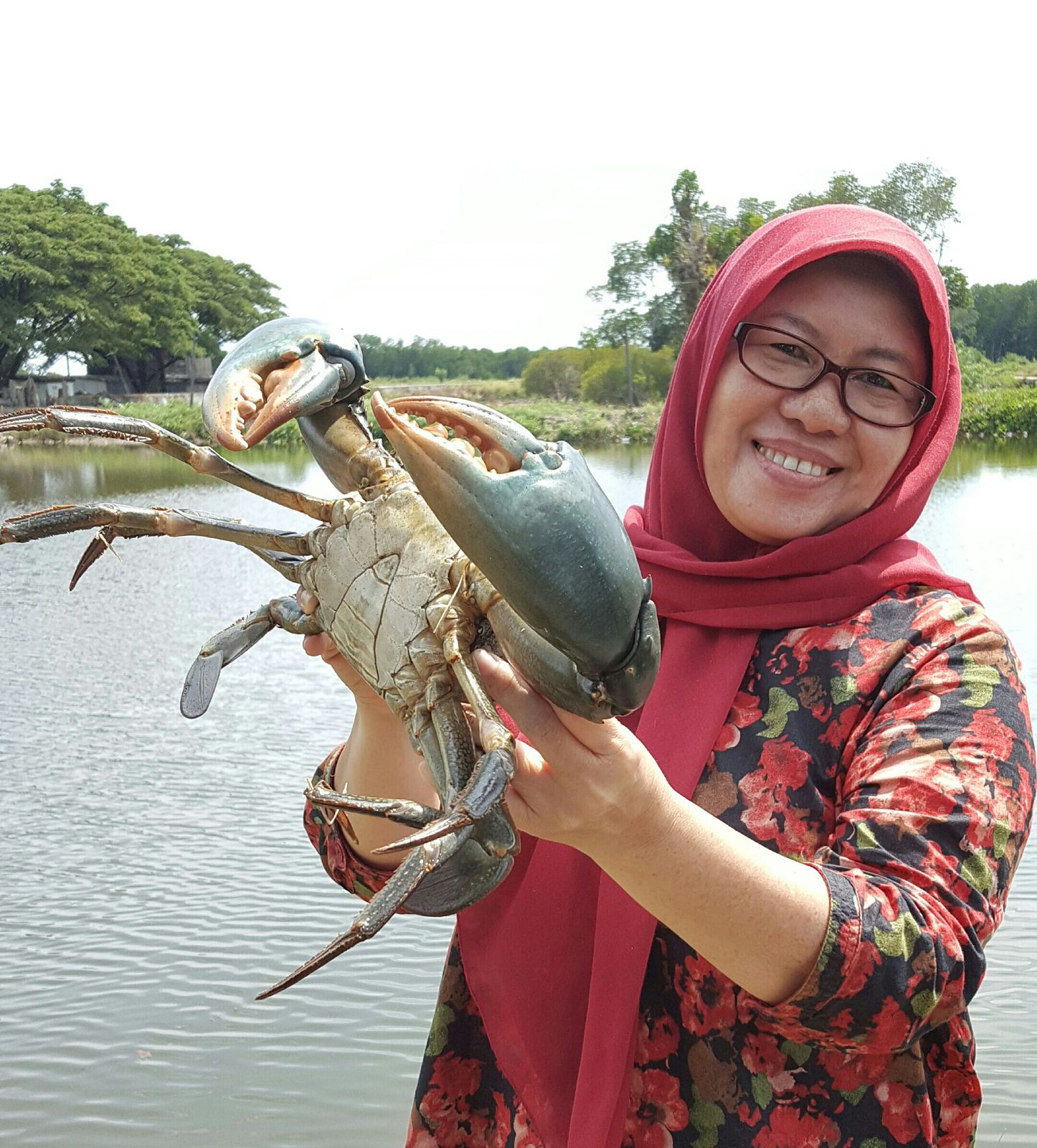 Si ‘Profesor Kepiting’ dari Pantai Losari
