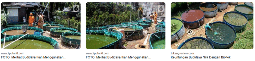 Budidaya Ikan Nila Sistem Bioflok PDF, Cek Panduannya! Budidaya Ikan Nila Sistem Bioflok PDF, Cek Panduannya!
