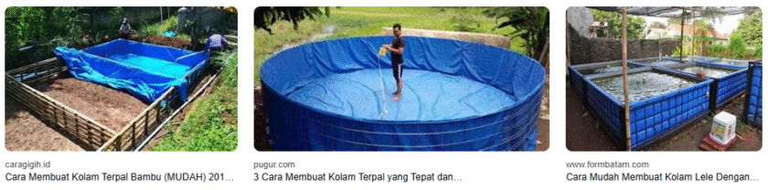 5 Cara Mudah Membuat Kolam Terpal Ikan Di Rumah 5 Cara Mudah Membuat Kolam Terpal Ikan Di Rumah