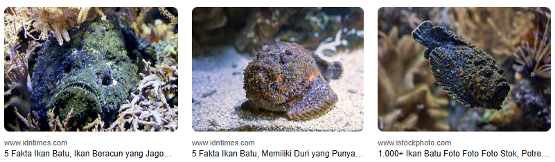 Ikan Batu Air Tawar: 7 Fakta Menarik Yang Jarang Diketahui! Ikan Batu Air Tawar: 7 Fakta Menarik Yang Jarang Diketahui!