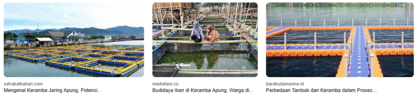 10 Keunggulan Budidaya Ikan Dalam Keramba Terapung 10 Keunggulan Budidaya Ikan Dalam Keramba Terapung