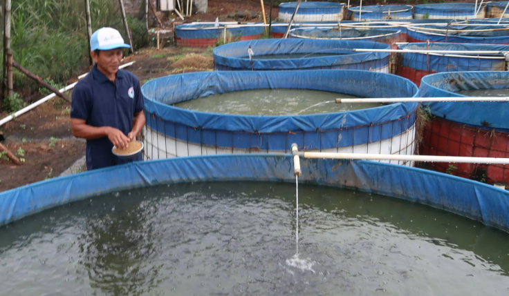 6 Jenis Terpal Ikan Yang Cocok Untuk Budidaya Skala Kecil 6 Jenis Terpal Ikan Yang Cocok Untuk Budidaya Skala Kecil